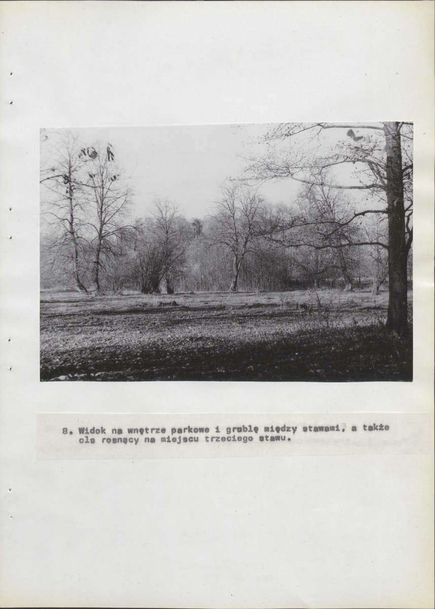 Ewidencja parkowa, skan nr 38