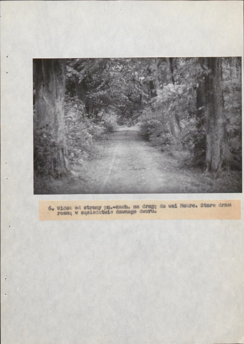 EP - Ewidencja parkowa, skan nr 29