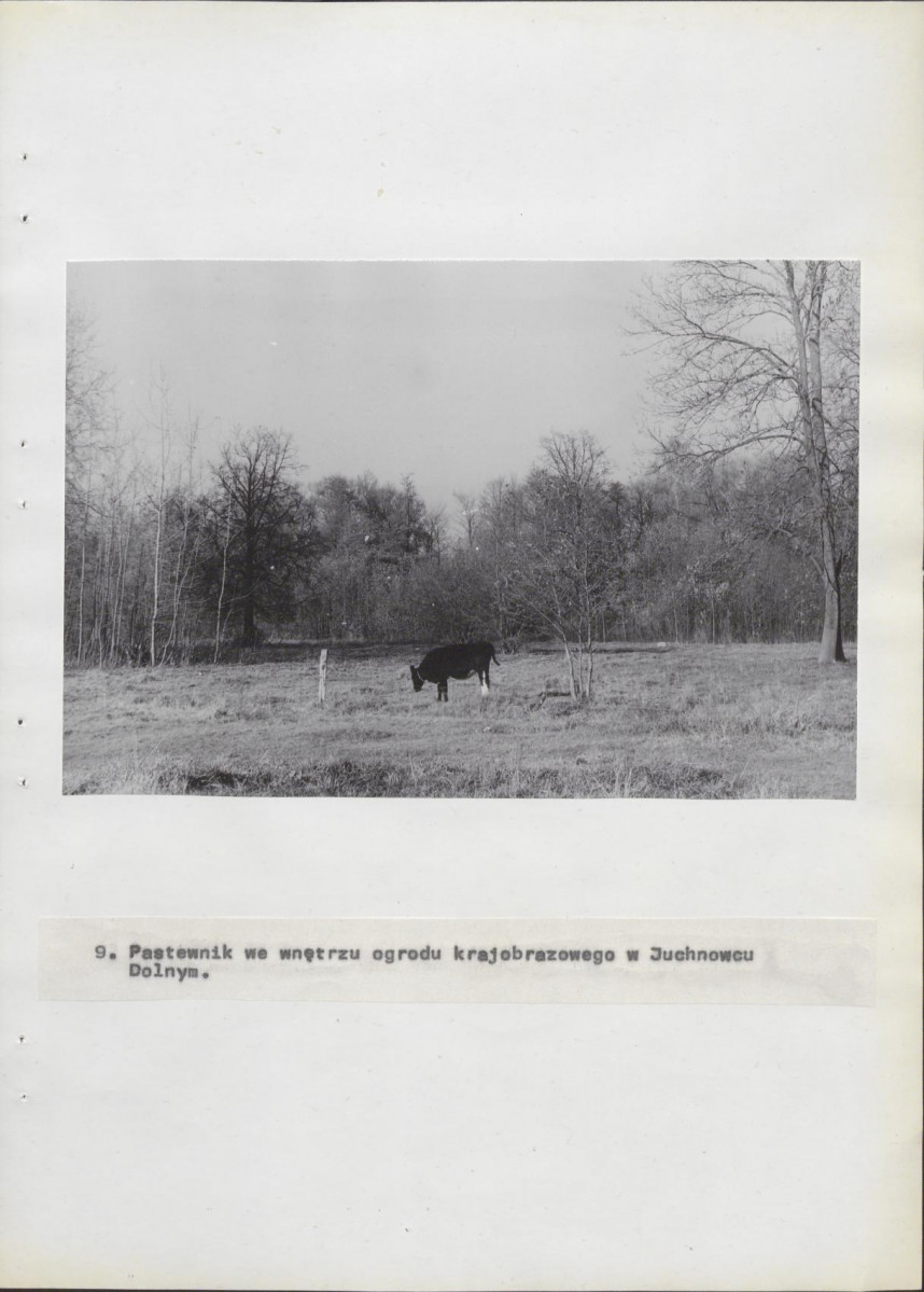 Ewidencja parkowa, skan nr 39