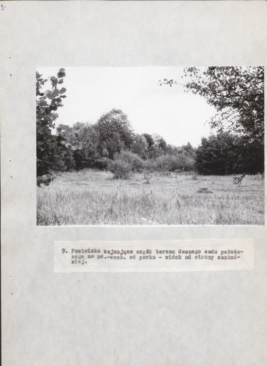 EP - Ewidencja parkowa, skan nr 38