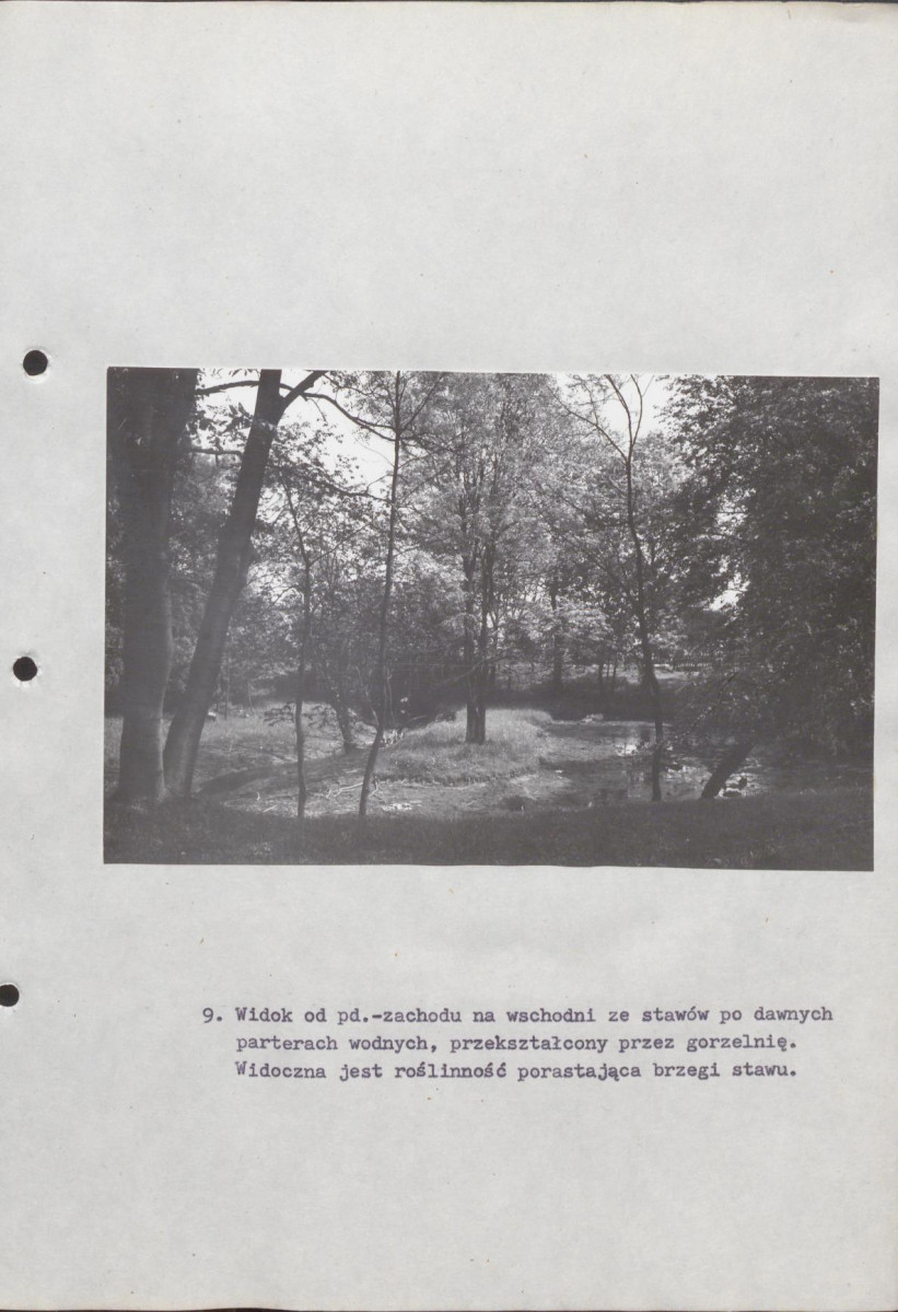 EP - Ewidencja parkowa, skan nr 41