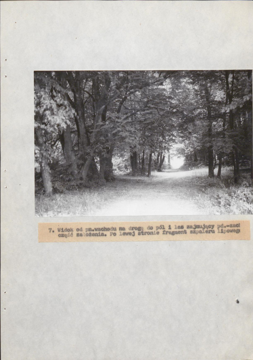 EP - Ewidencja parkowa, skan nr 30