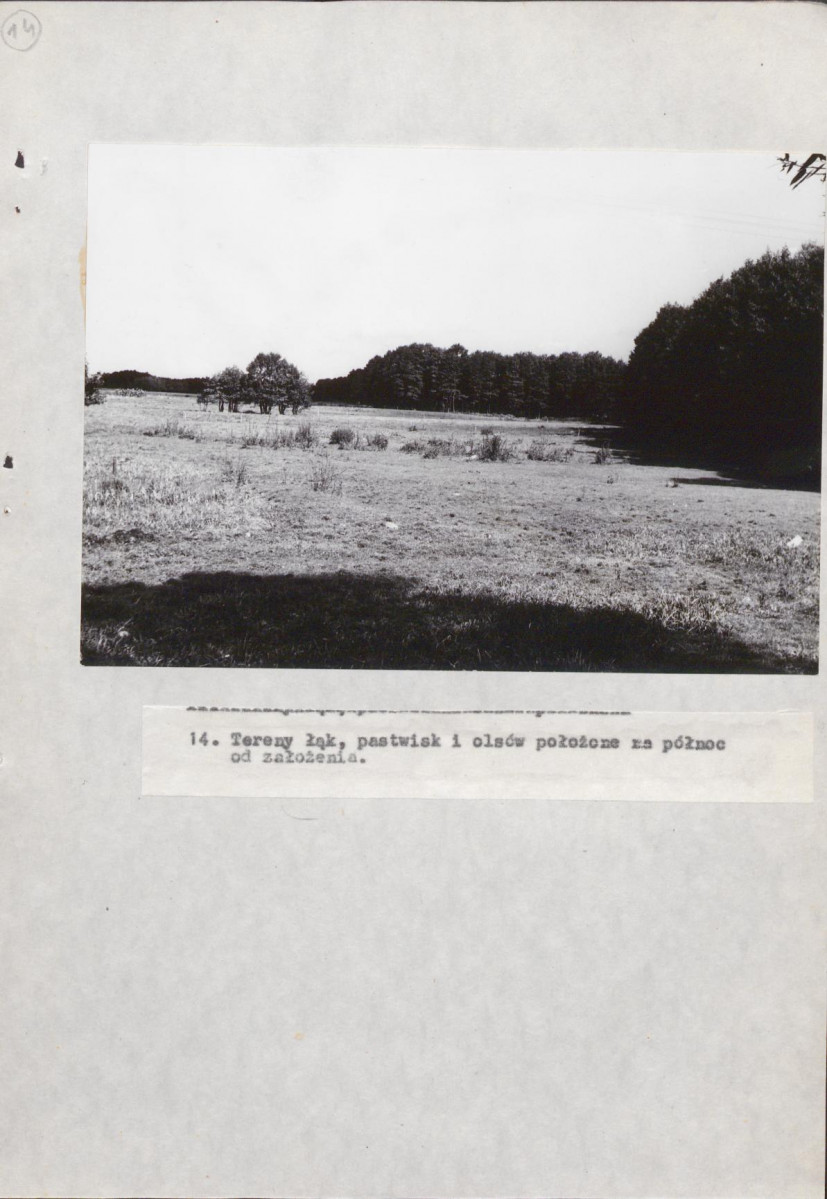 EP - Ewidencja parkowa, skan nr 38