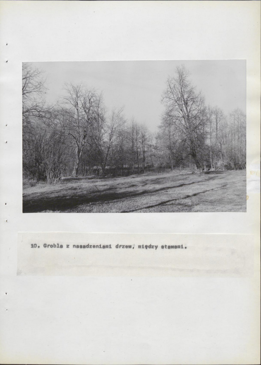 Ewidencja parkowa, skan nr 40