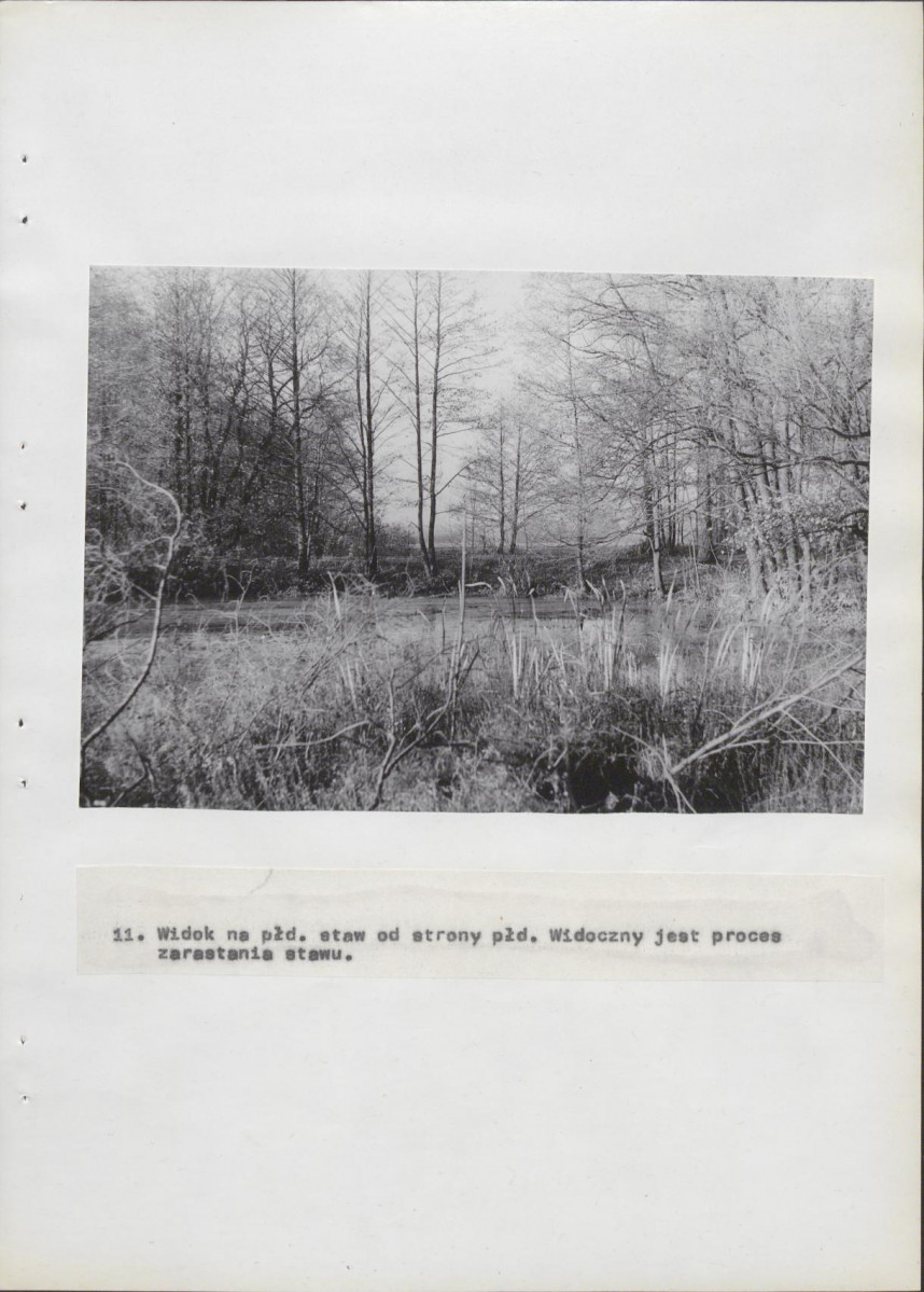 Ewidencja parkowa, skan nr 41