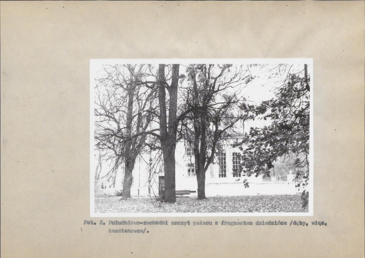 Ewidencja parkowa, skan nr 39