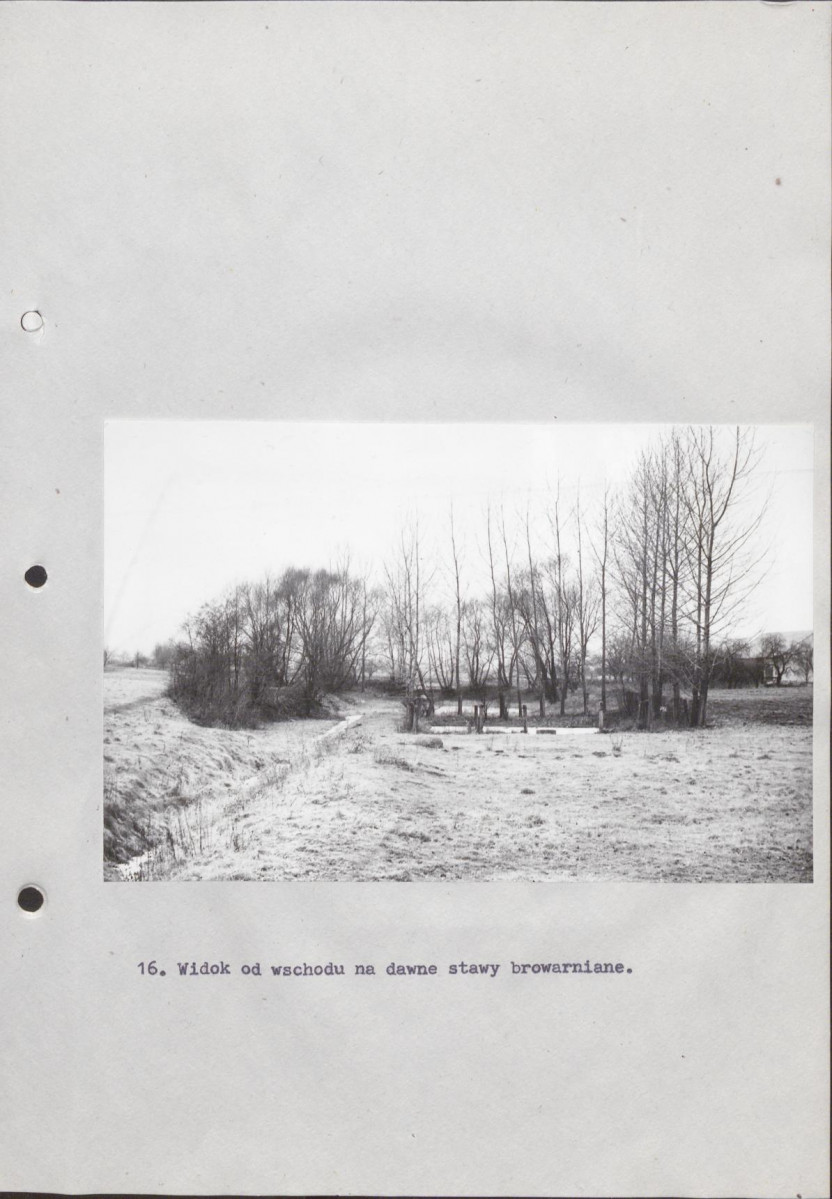 Ewidencja parkowa, skan nr 45