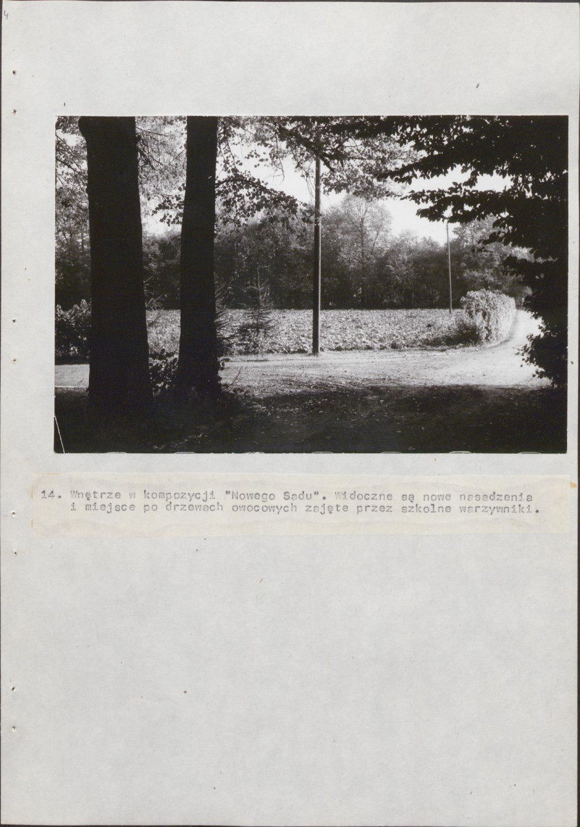 EP - Ewidencja parkowa, skan nr 46
