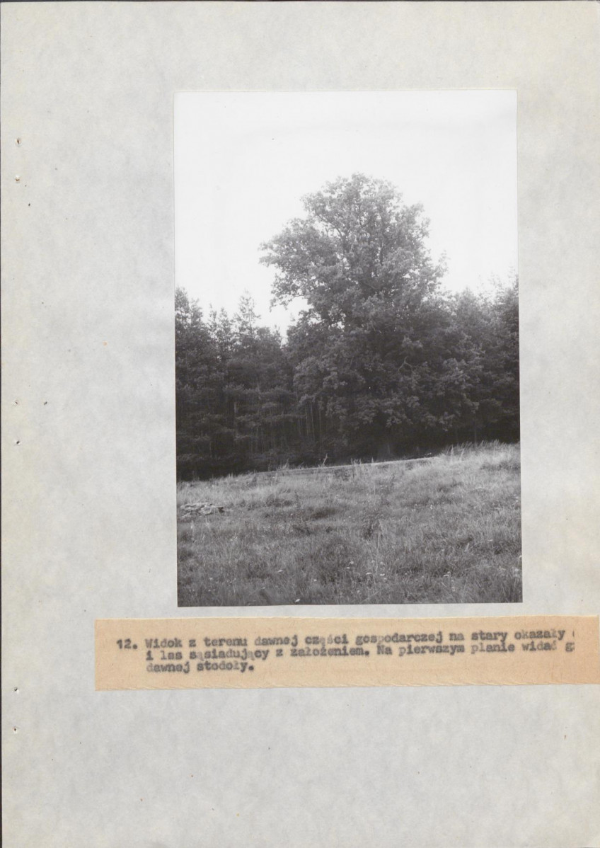 EP - Ewidencja parkowa, skan nr 35