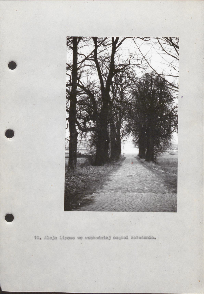 EP - Ewidencja parkowa, skan nr 54
