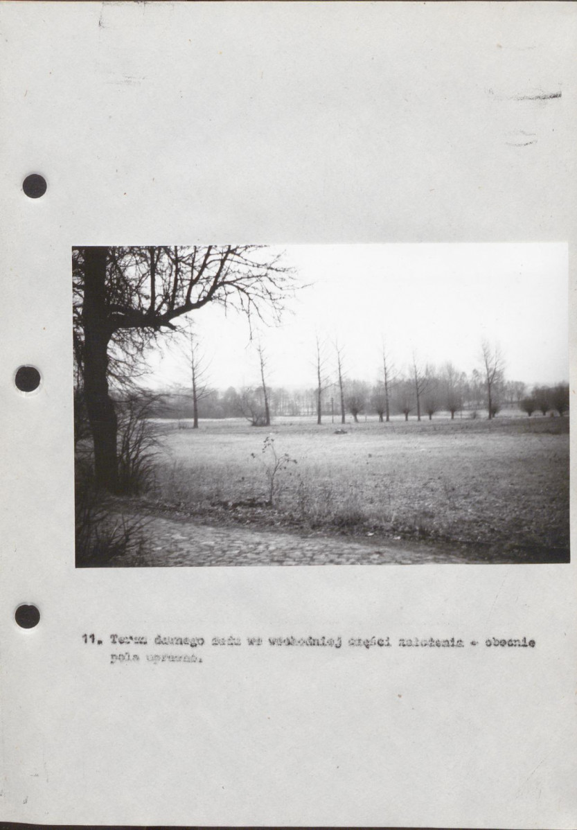 EP - Ewidencja parkowa, skan nr 55