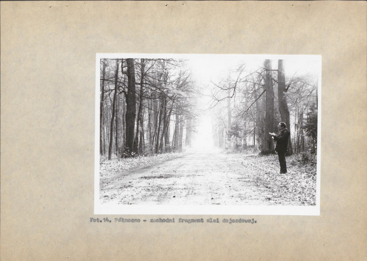 Ewidencja parkowa, skan nr 51