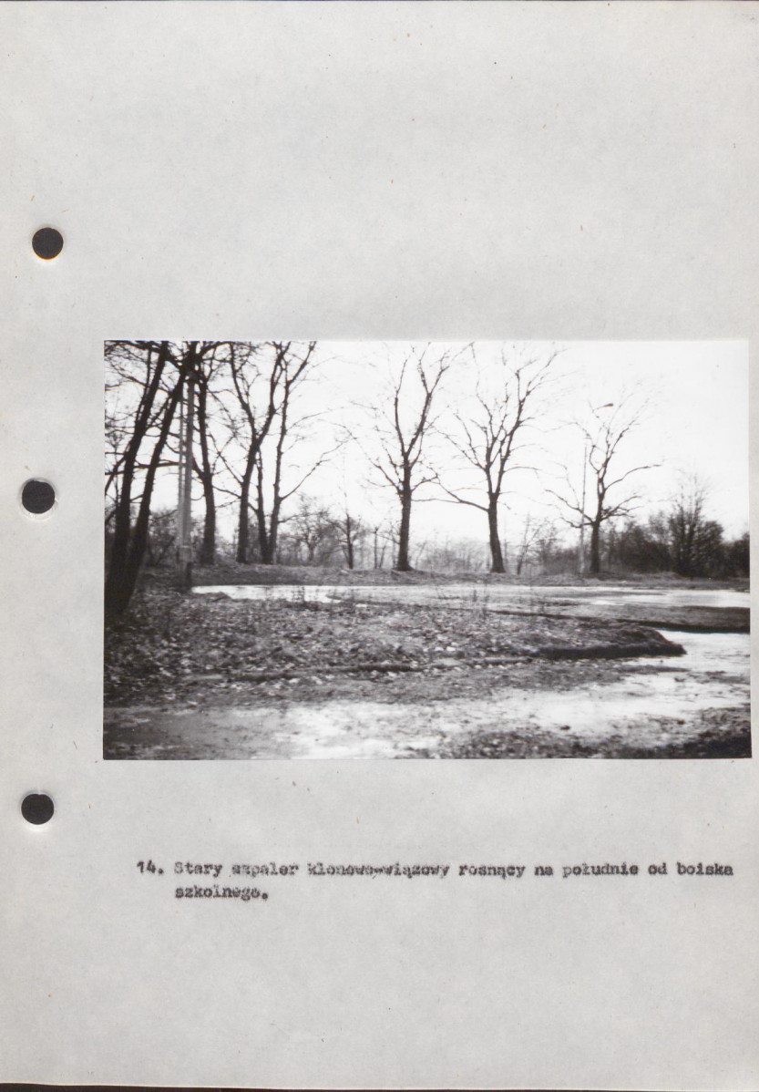 EP - Ewidencja parkowa, skan nr 58