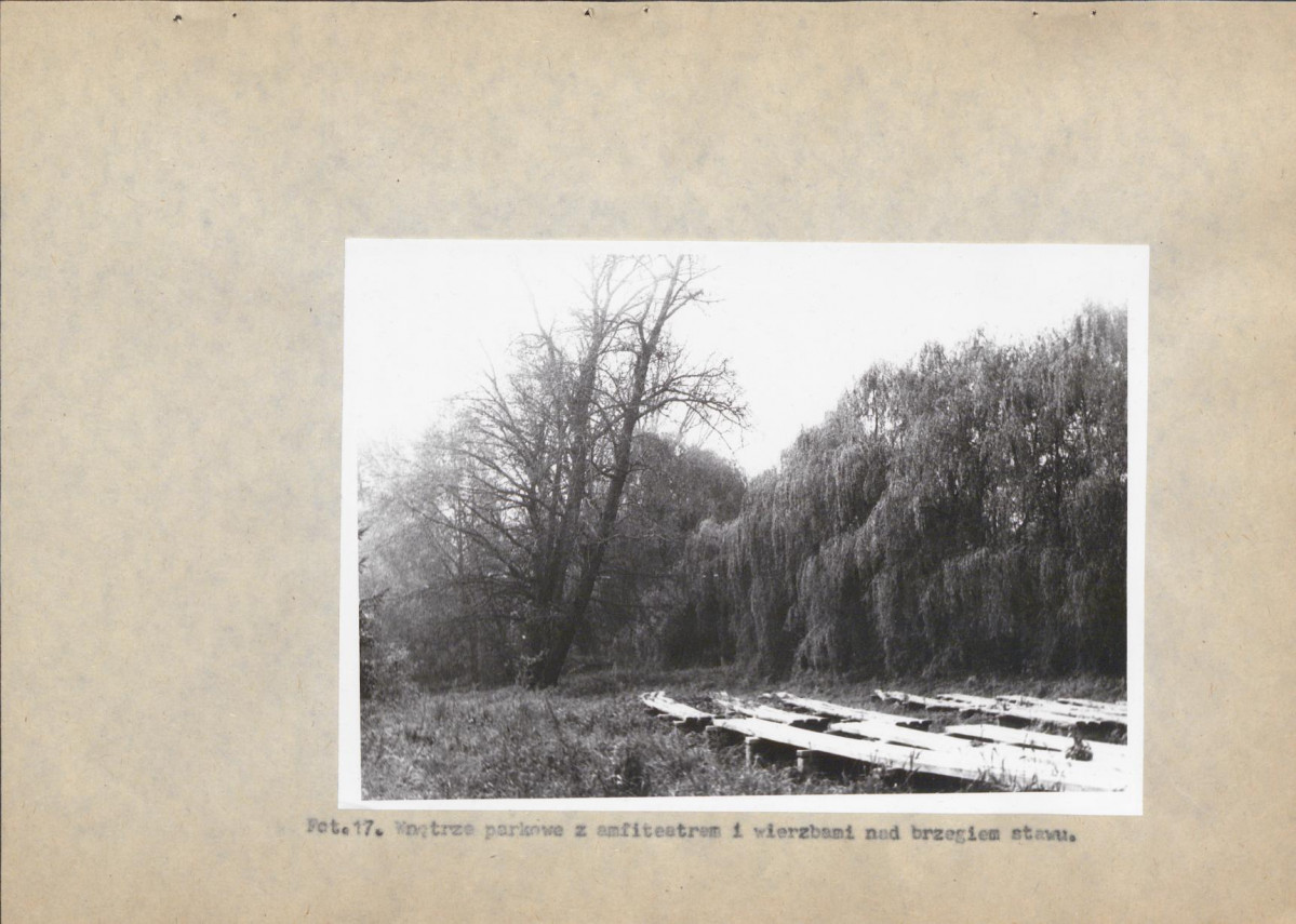 Ewidencja parkowa, skan nr 54