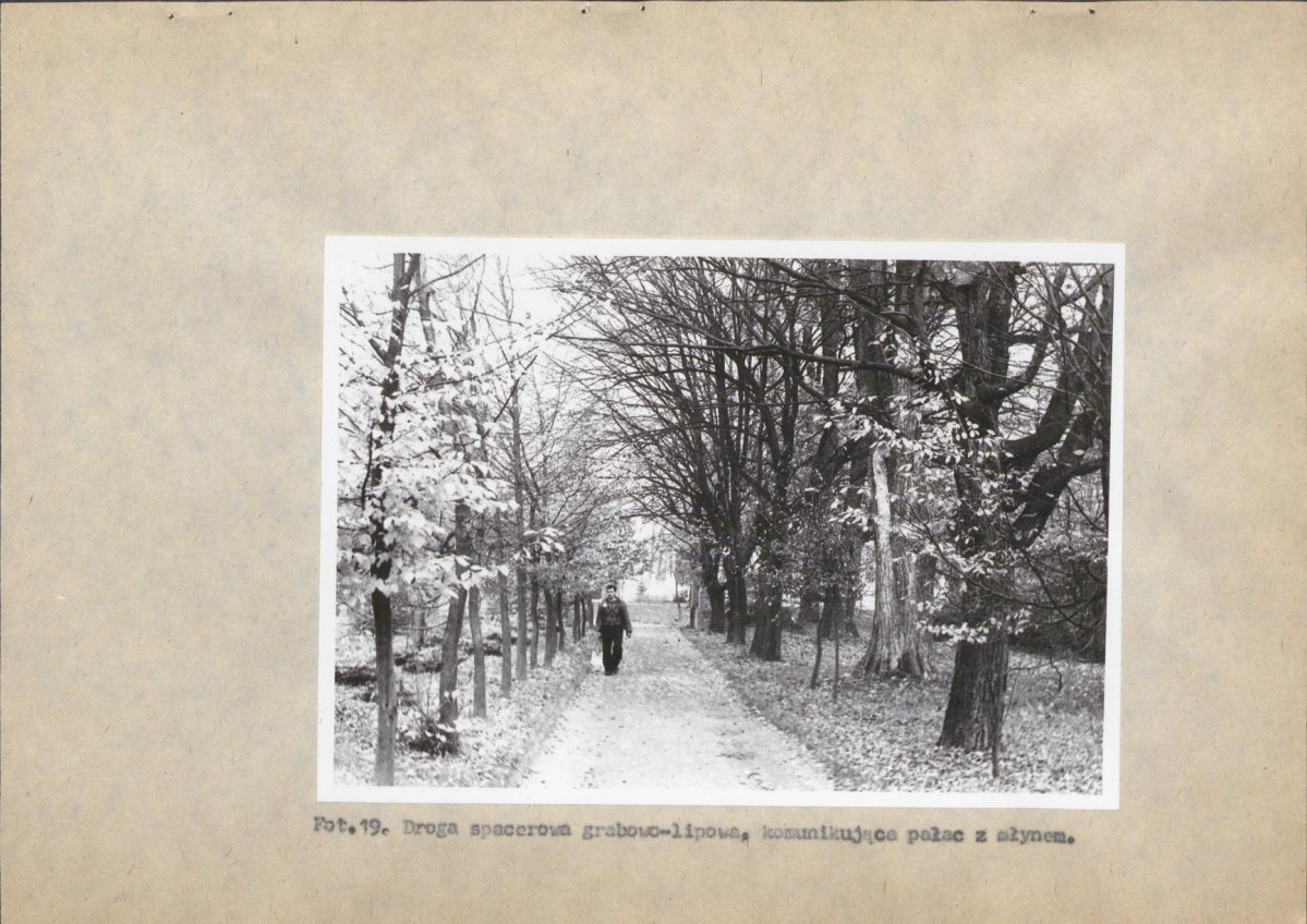 Ewidencja parkowa, skan nr 56