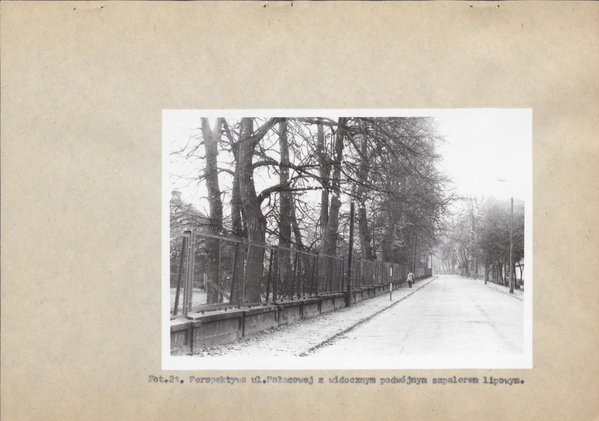 Ewidencja parkowa, skan nr 58