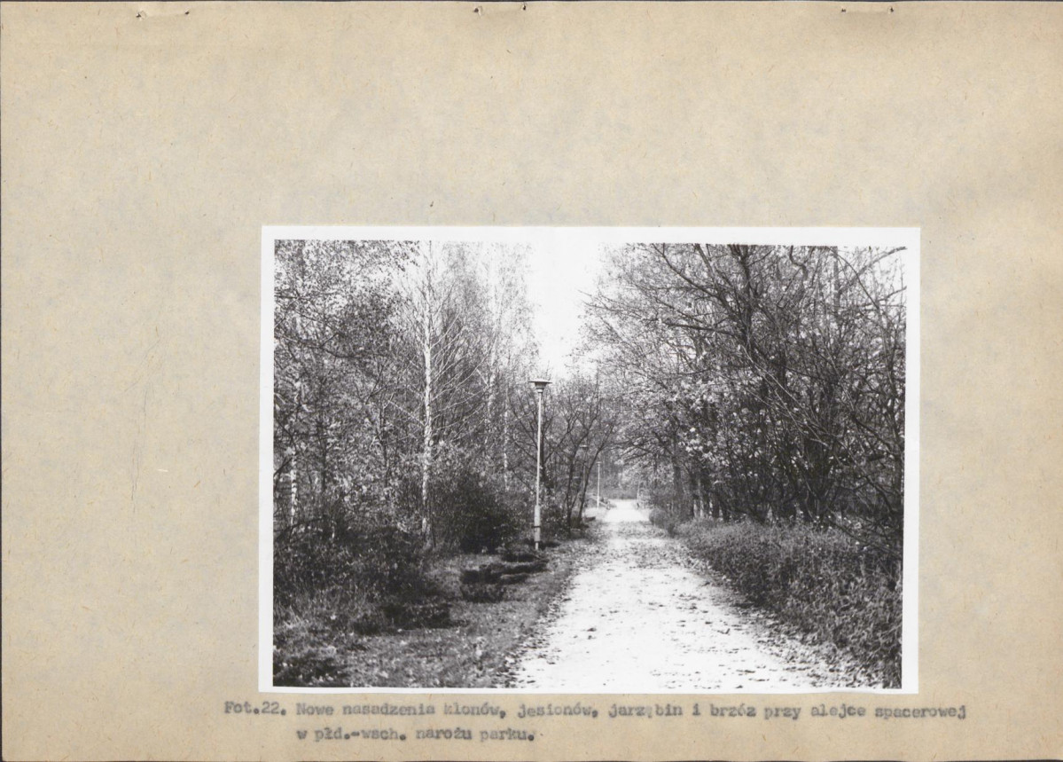 Ewidencja parkowa, skan nr 59