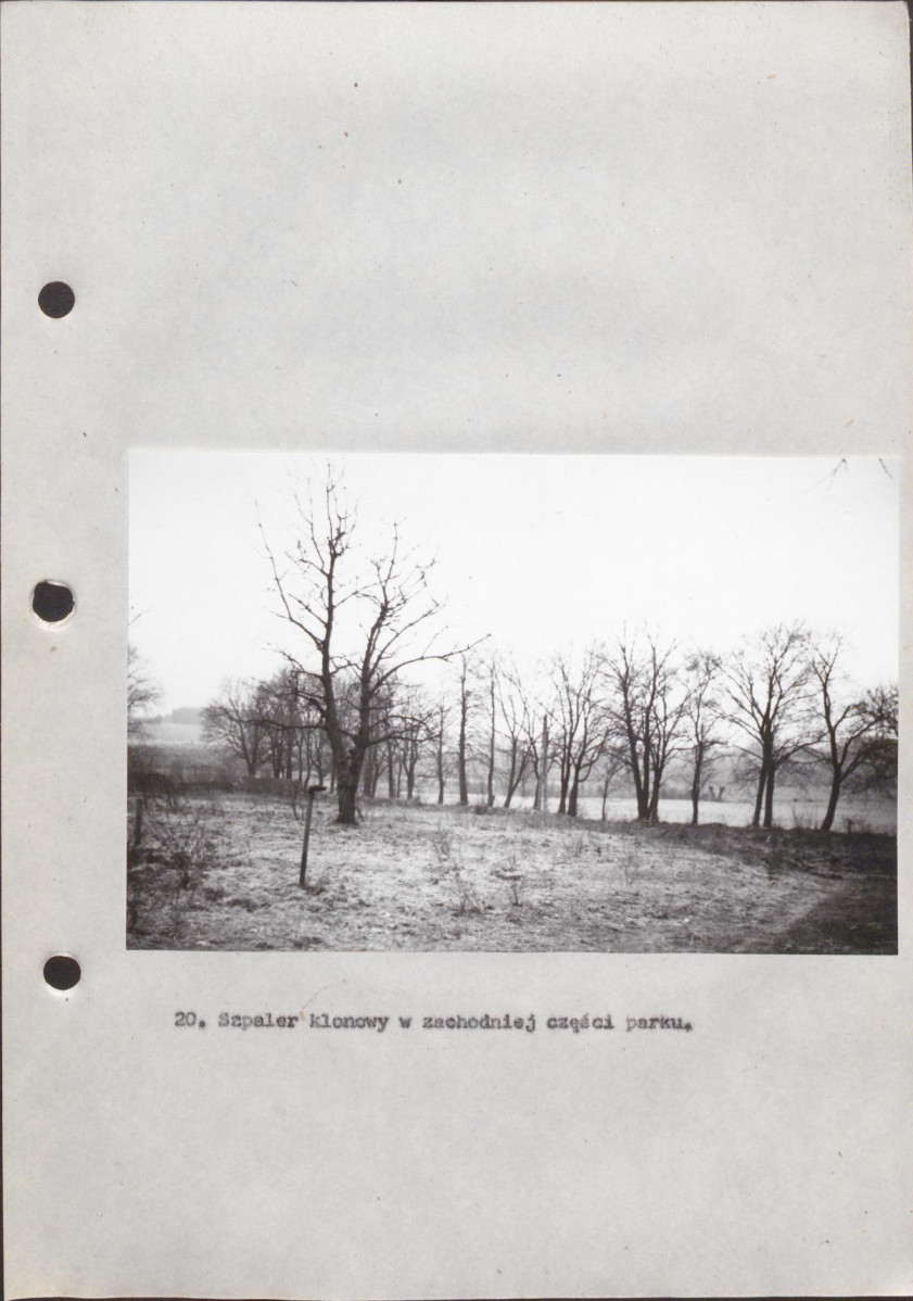 EP - Ewidencja parkowa, skan nr 64