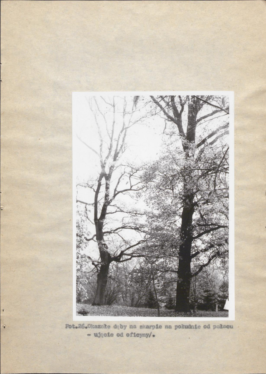 Ewidencja parkowa, skan nr 63