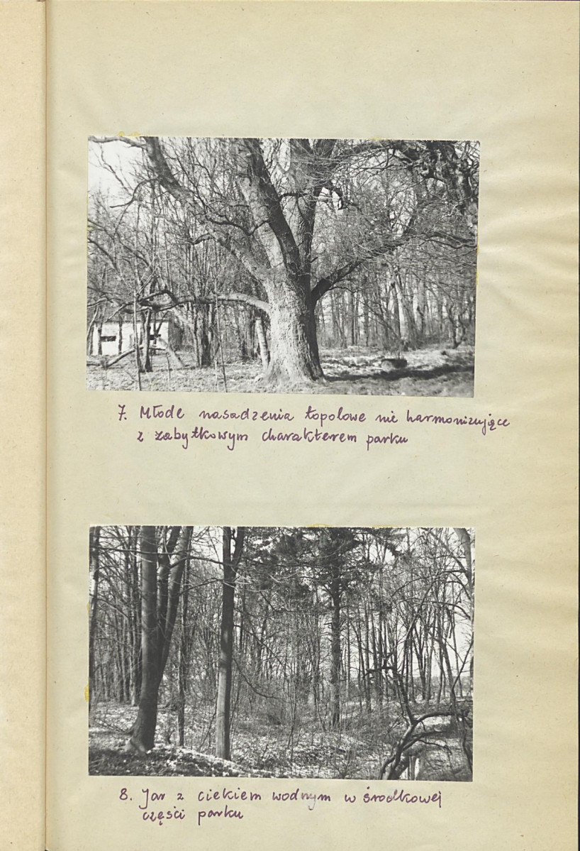 EP - Ewidencja parkowa, skan nr 16