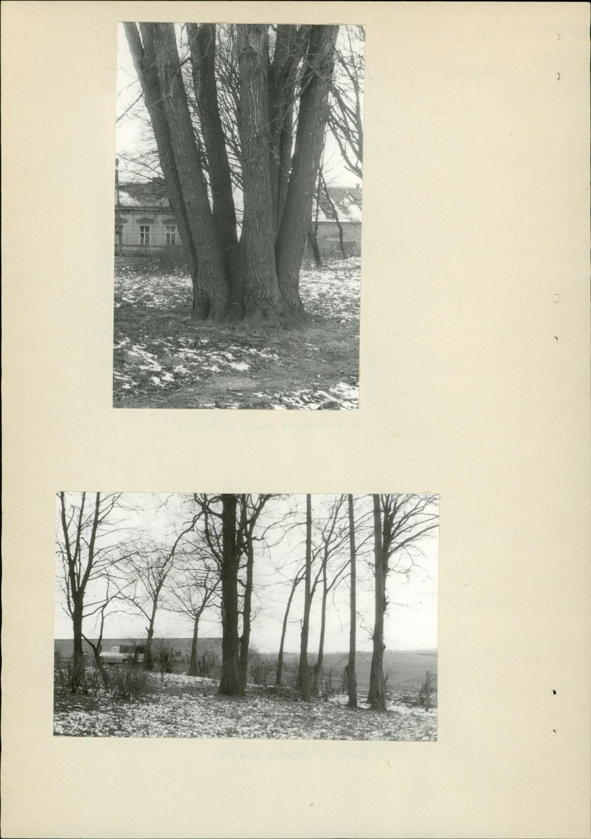 EP - Ewidencja parkowa, skan nr 14