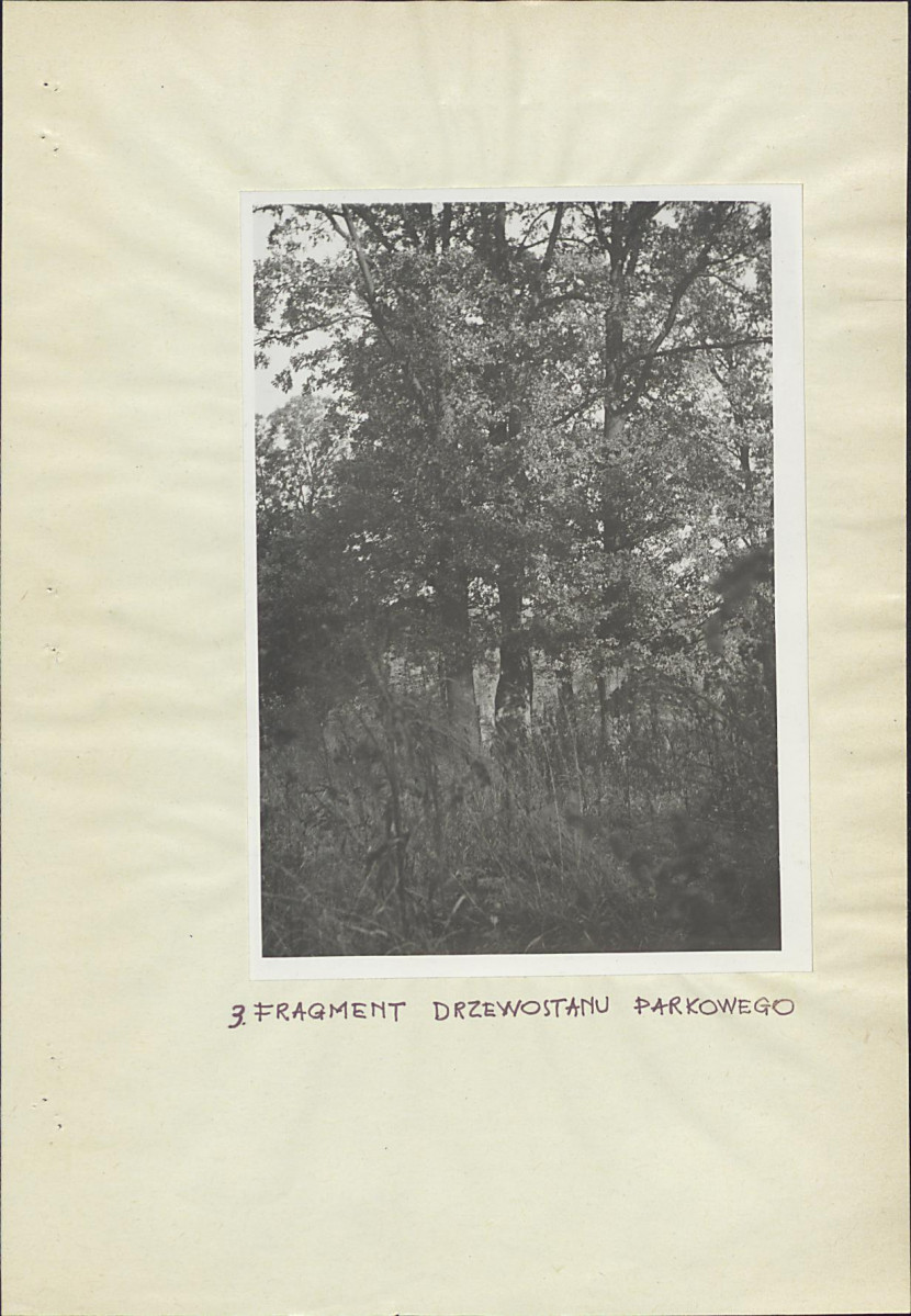 EP - Ewidencja parkowa, skan nr 16