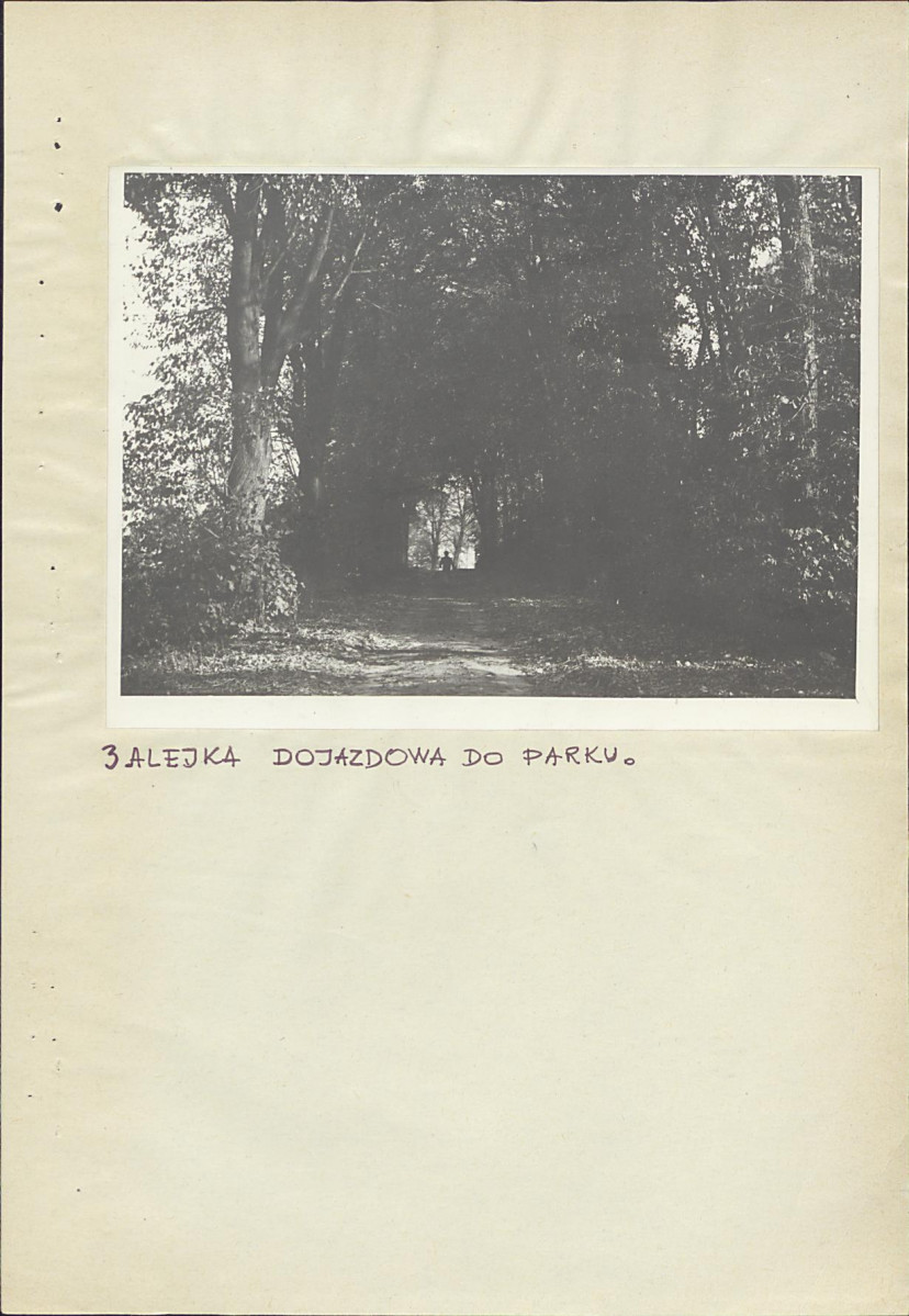 EP - Ewidencja parkowa, skan nr 15