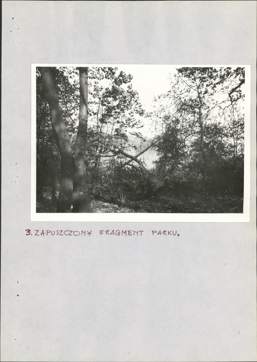 EP - Ewidencja parkowa, skan nr 17