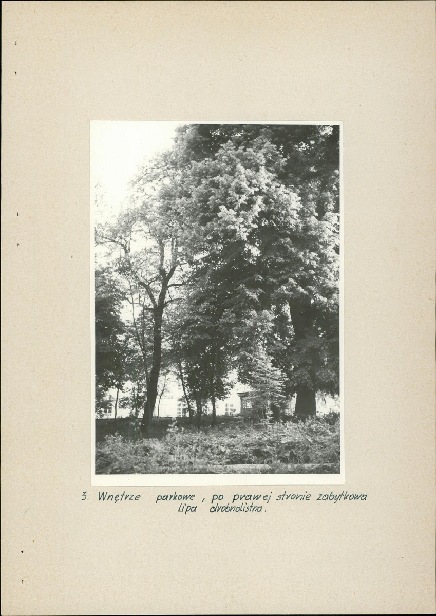 EP - Ewidencja parkowa, skan nr 15
