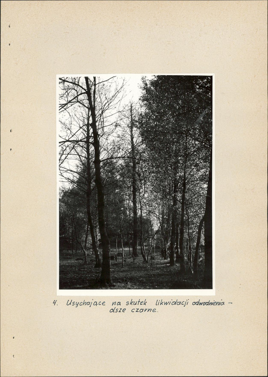 EP - Ewidencja parkowa, skan nr 16
