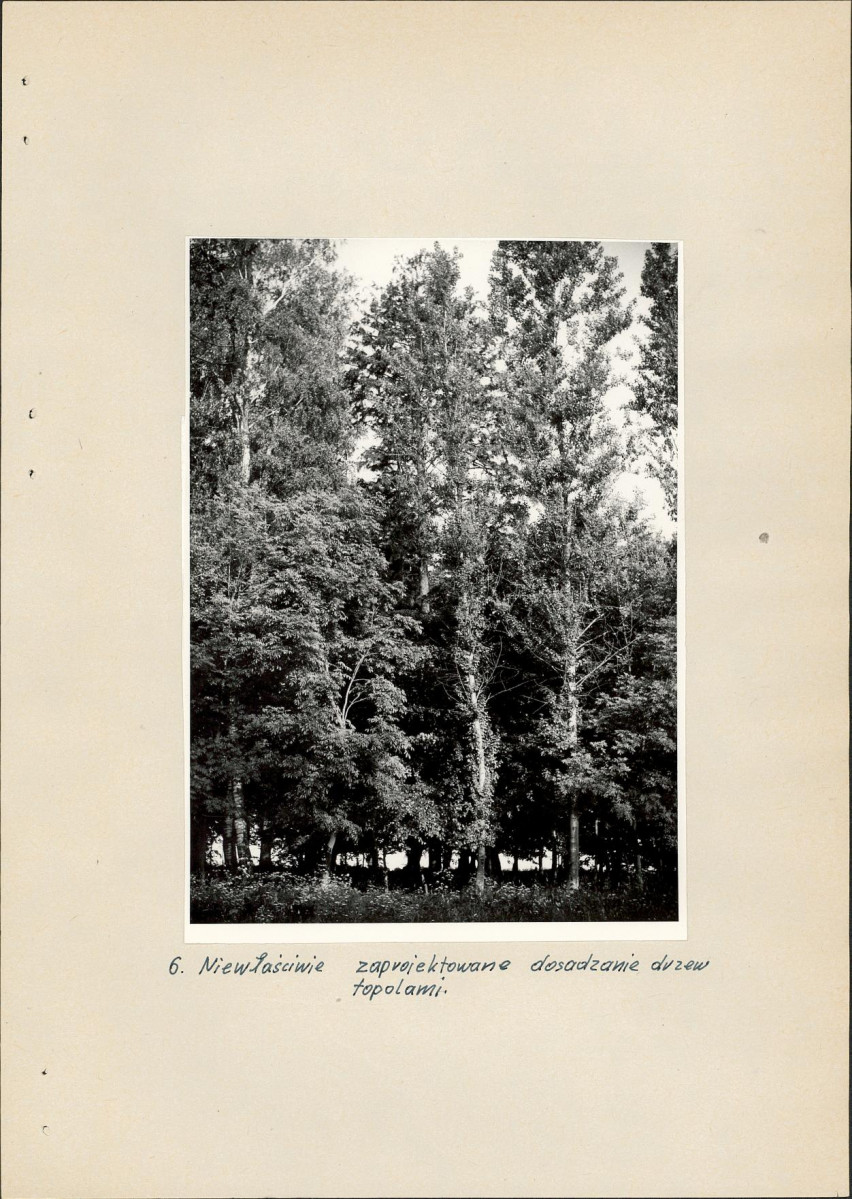 EP - Ewidencja parkowa, skan nr 18