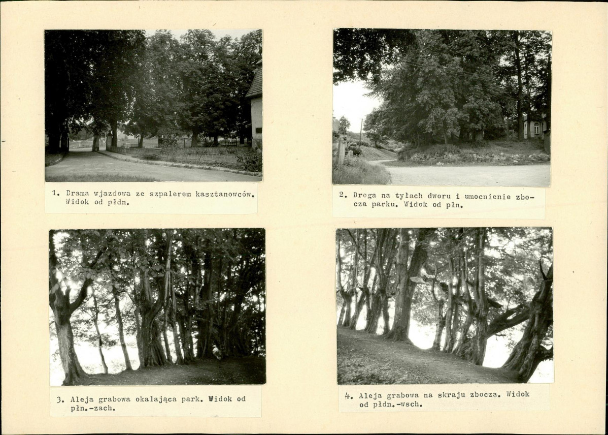 Karta biała, skan nr 7