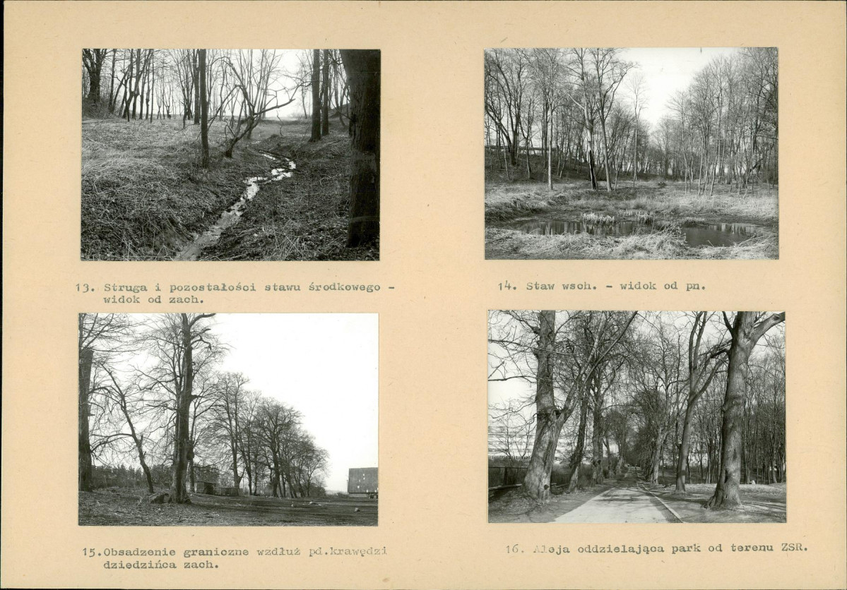 Karta biała, skan nr 12