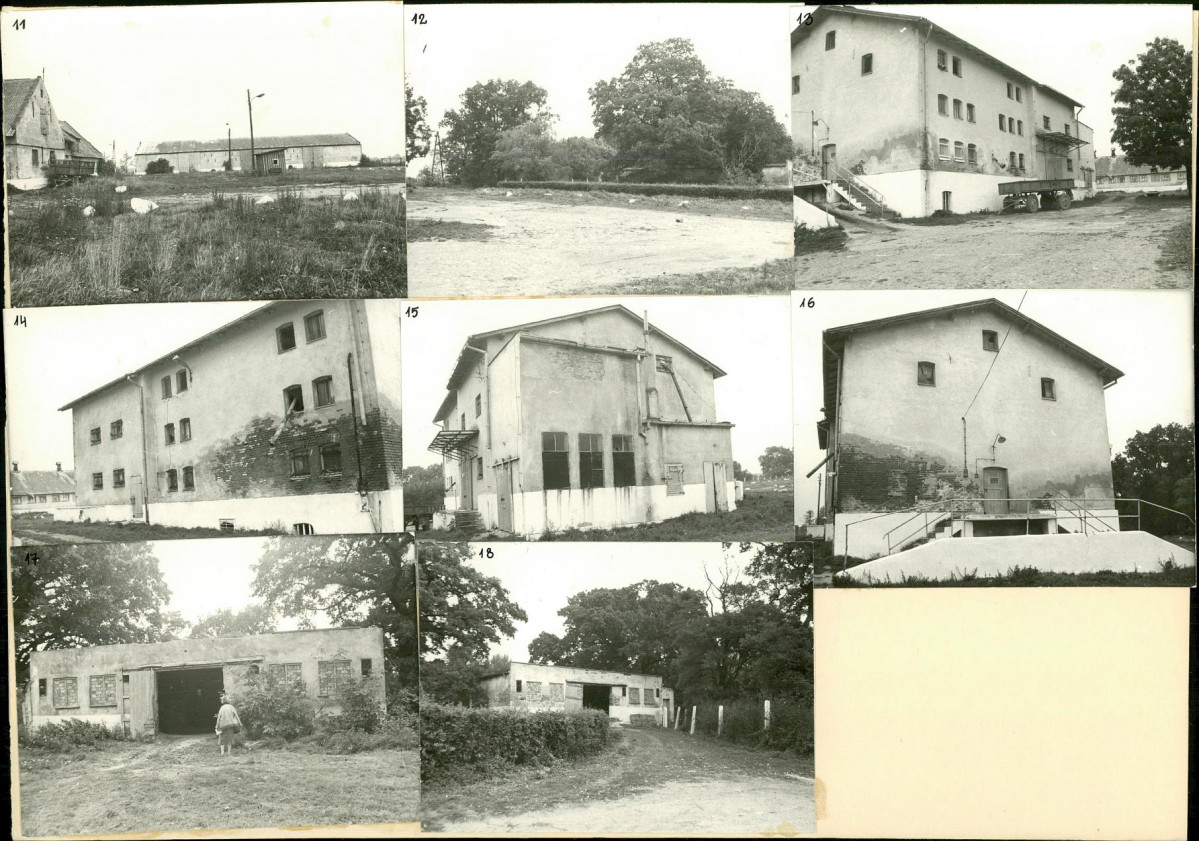 Karta biała, skan nr 8