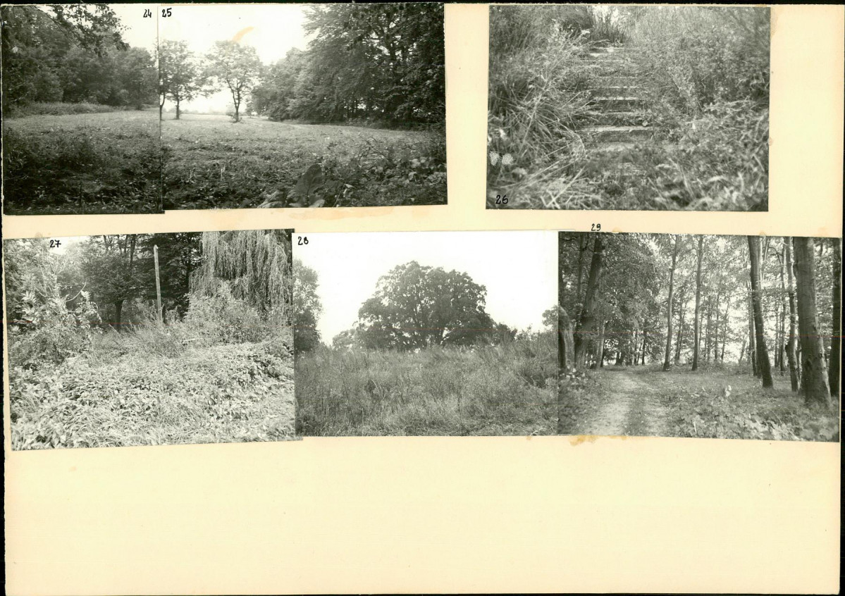 Karta biała, skan nr 10