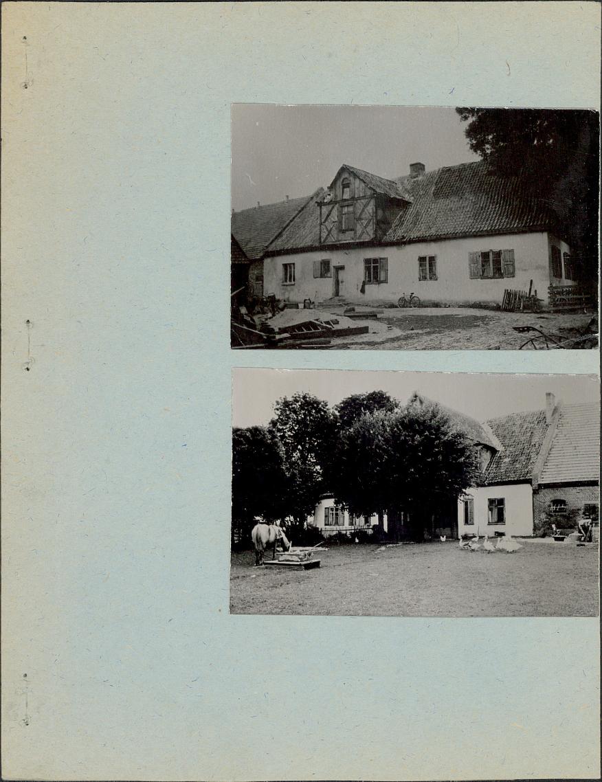 KZ - Karta zielona, skan nr 3
