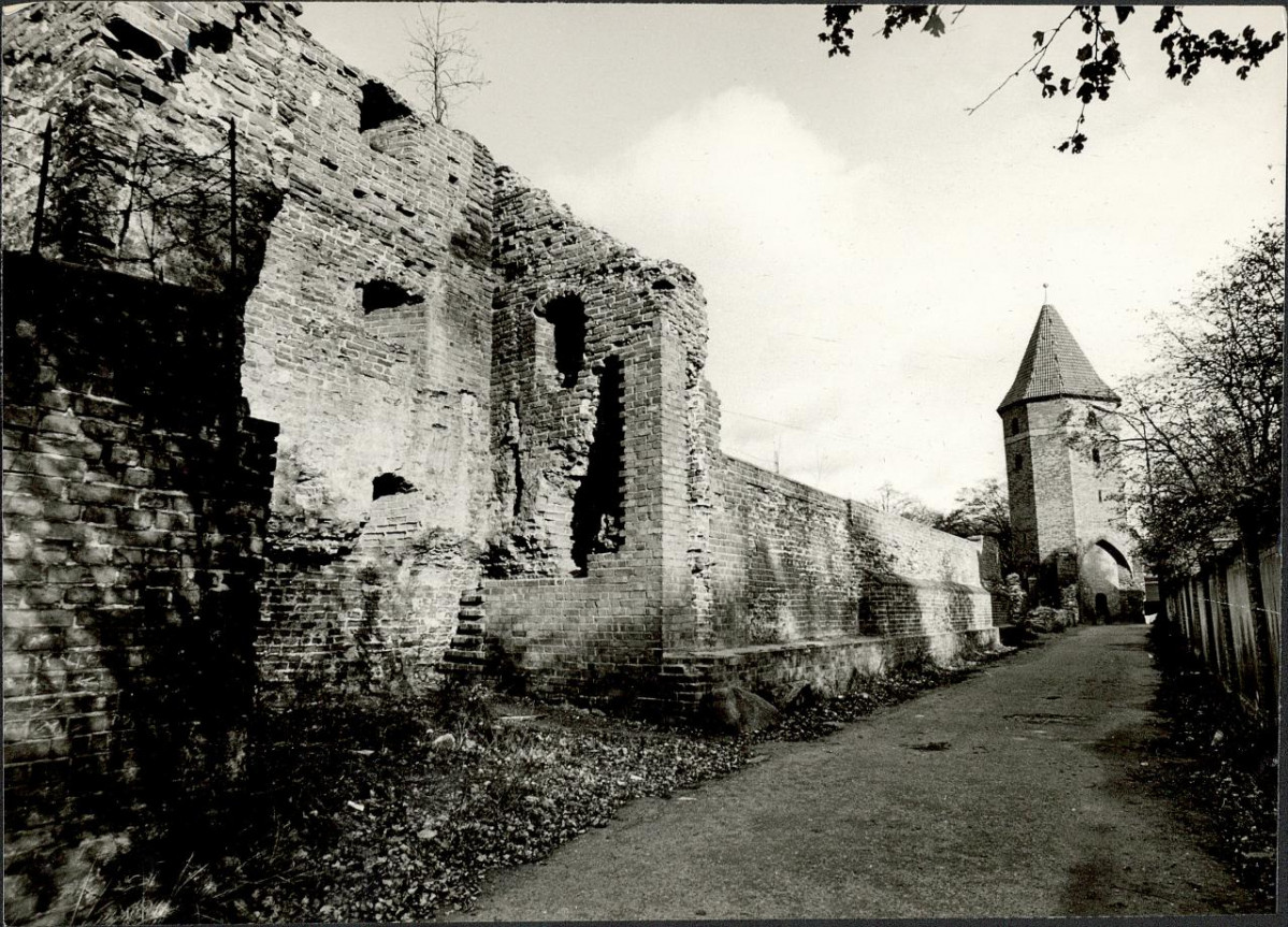 Karta biała, skan nr 6