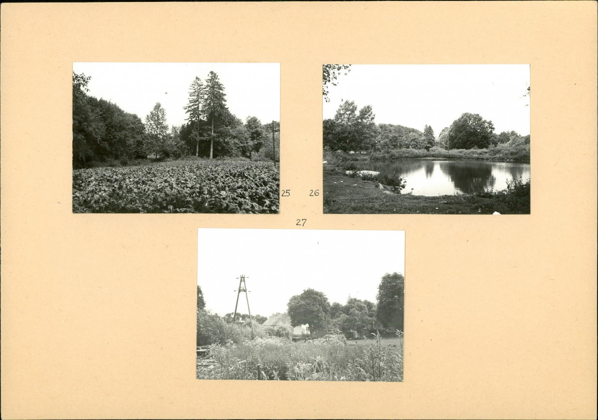 Karta biała, skan nr 15