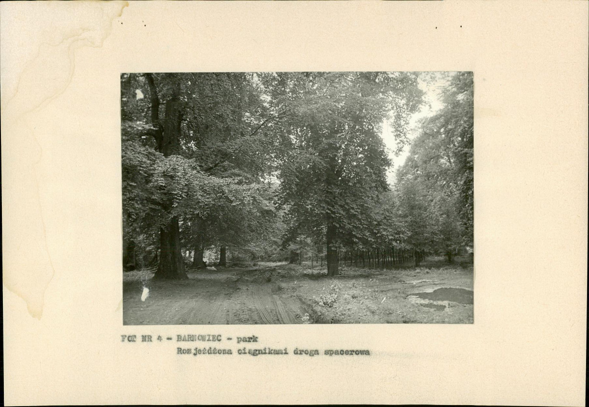 Ewidencja parkowa, skan nr 19