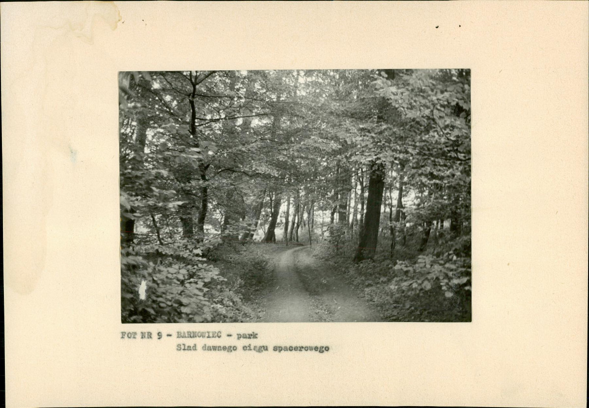 Ewidencja parkowa, skan nr 24