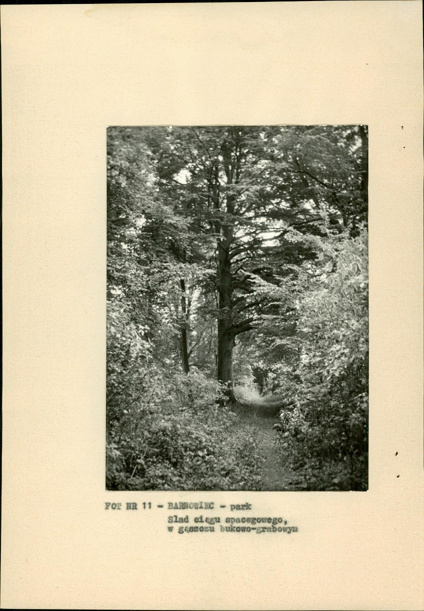Ewidencja parkowa, skan nr 26