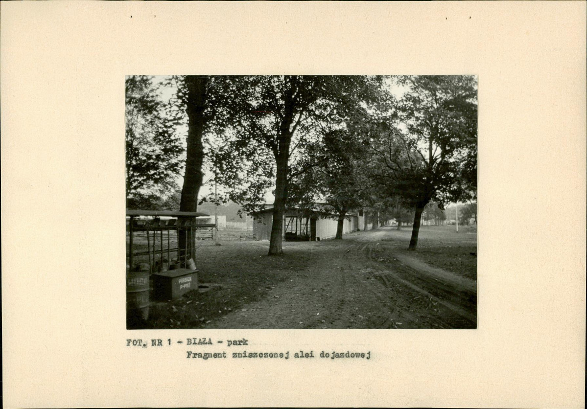 Ewidencja parkowa, skan nr 15