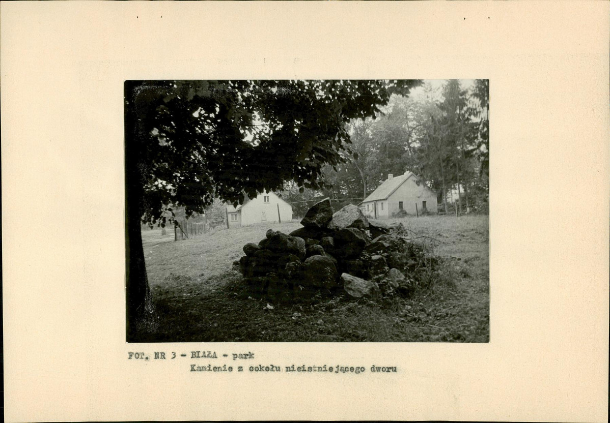 Ewidencja parkowa, skan nr 17