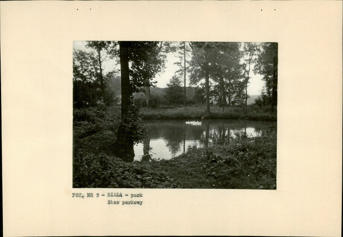 Ewidencja parkowa, skan nr 19