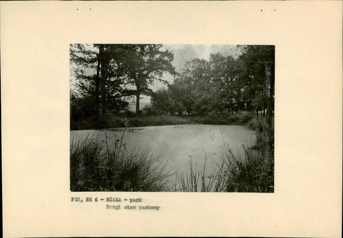Ewidencja parkowa, skan nr 20