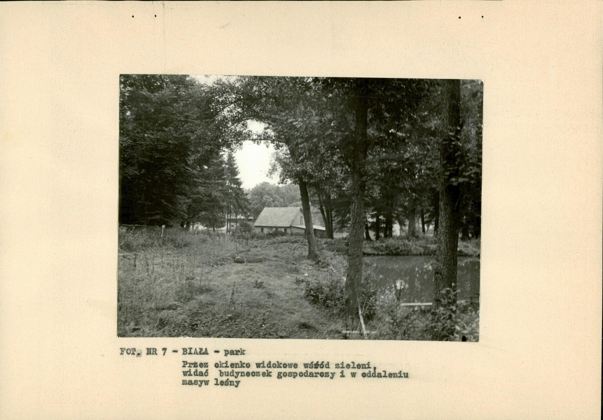 Ewidencja parkowa, skan nr 21