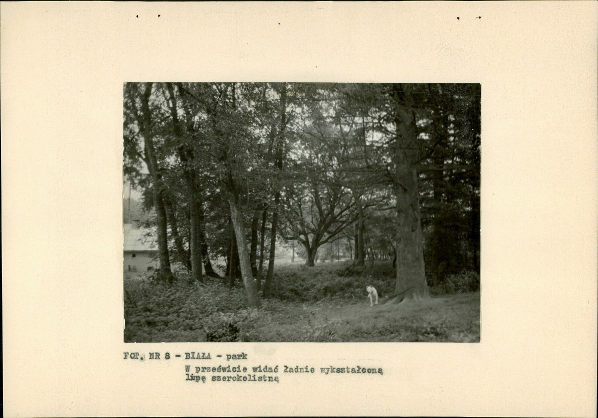 Ewidencja parkowa, skan nr 22