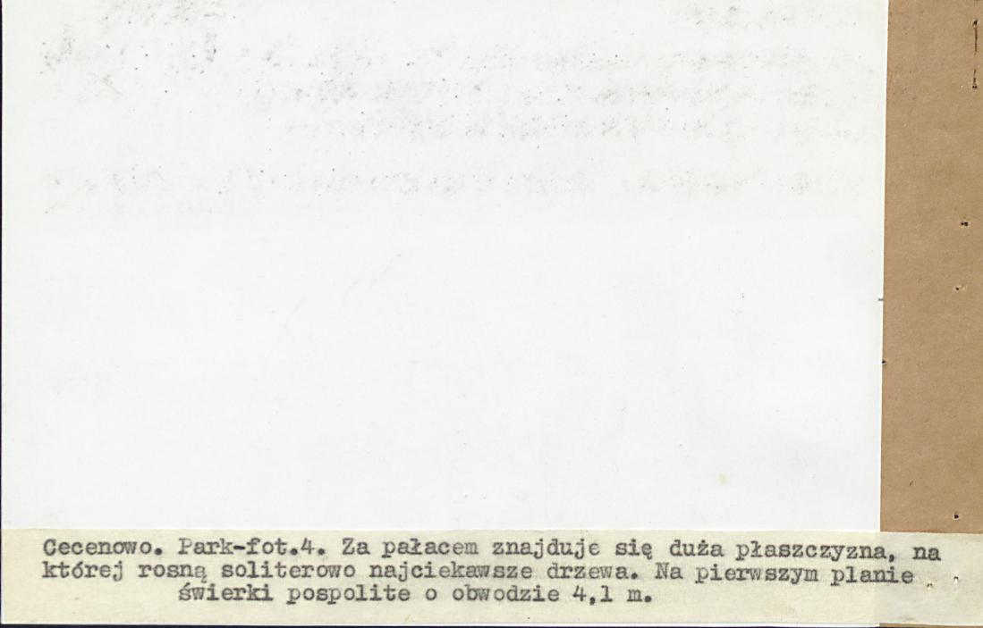 EP - Ewidencja parkowa, skan nr 29