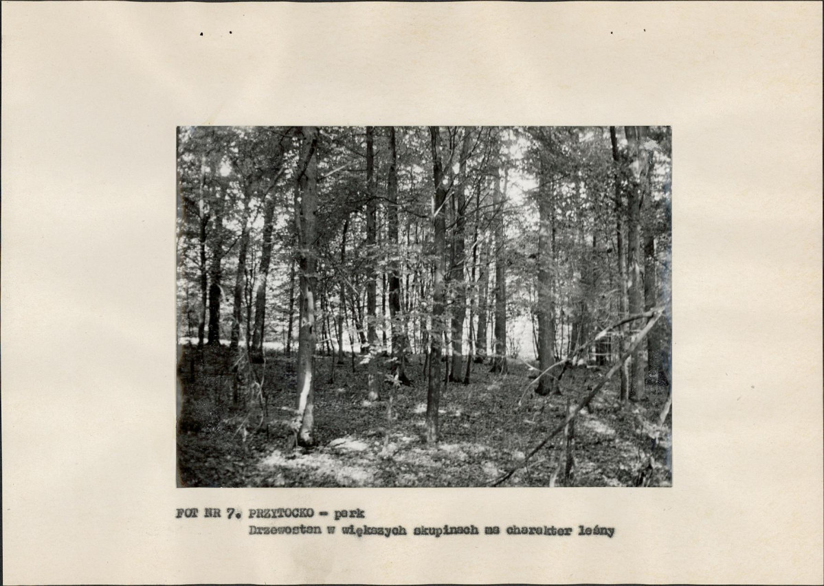 EP - Ewidencja parkowa, skan nr 21