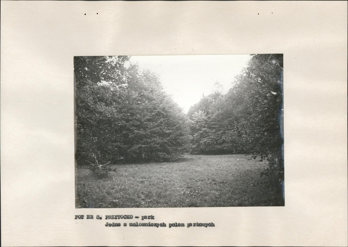 EP - Ewidencja parkowa, skan nr 22